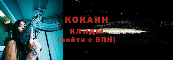тгк Арсеньев